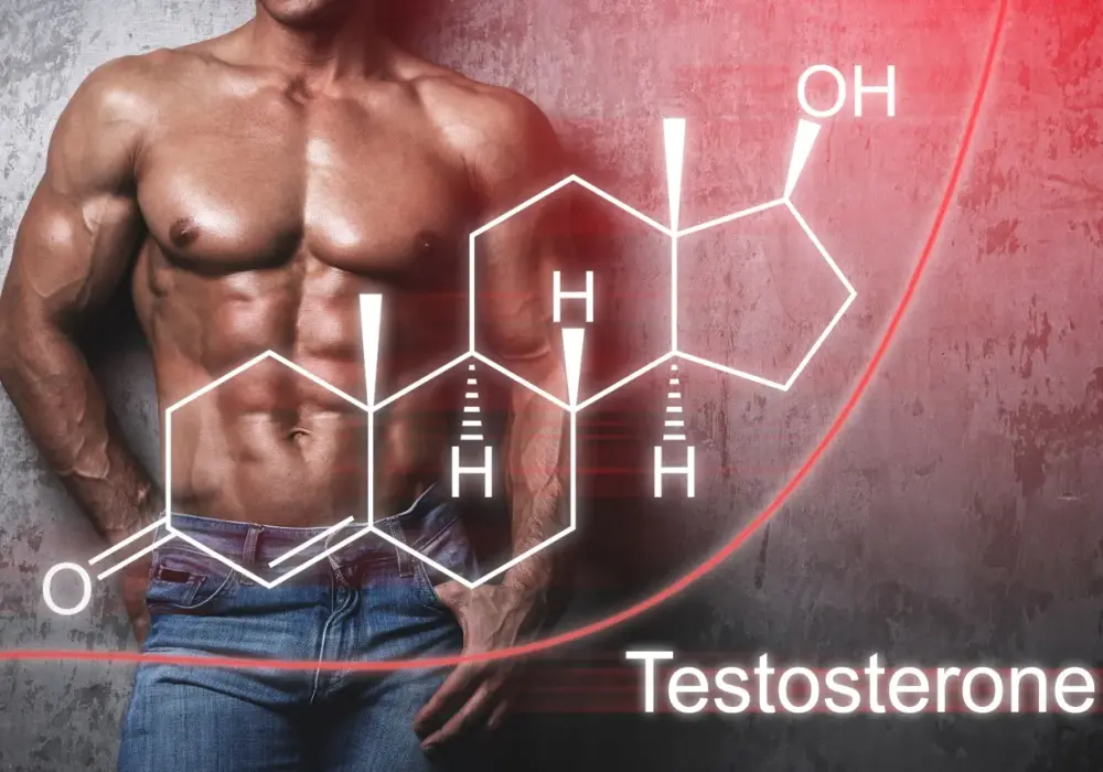 Testosteron na redukcję: Skuteczny sposób na spalanie tłuszczu bez utraty mięśni