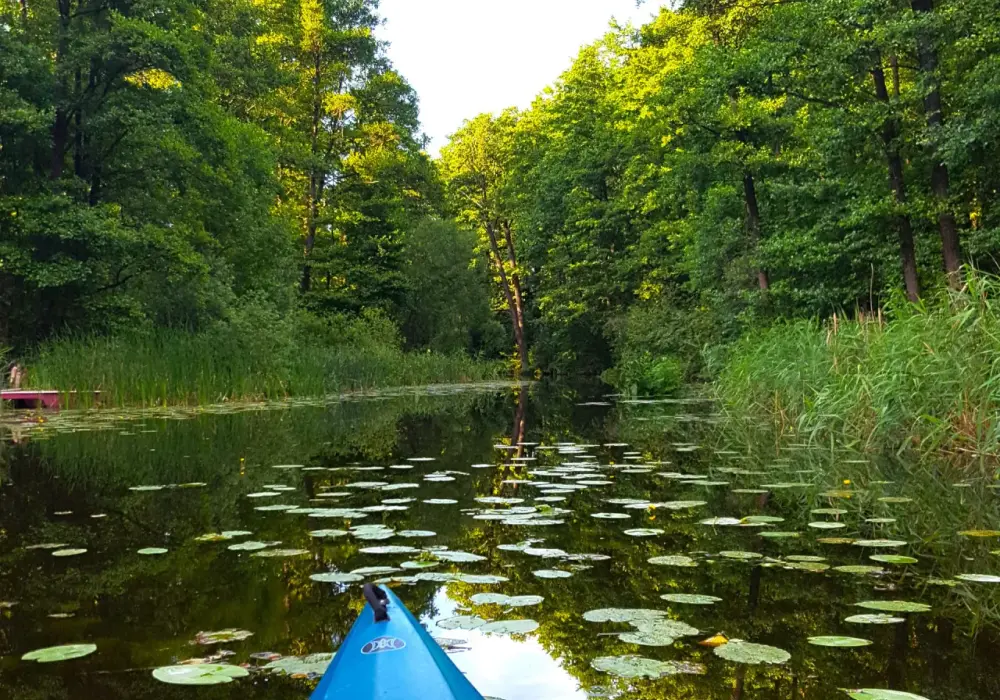 Spływ kajakowy Ostróda - najlepsze trasy i porady na niezapomnianą przygodę