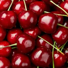Ile kcal mają czereśnie? Poznaj wartość kaloryczną pysznych owoców