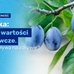 Ile kcal ma śliwka i dlaczego jej kaloryczność jest niższa niż myślisz