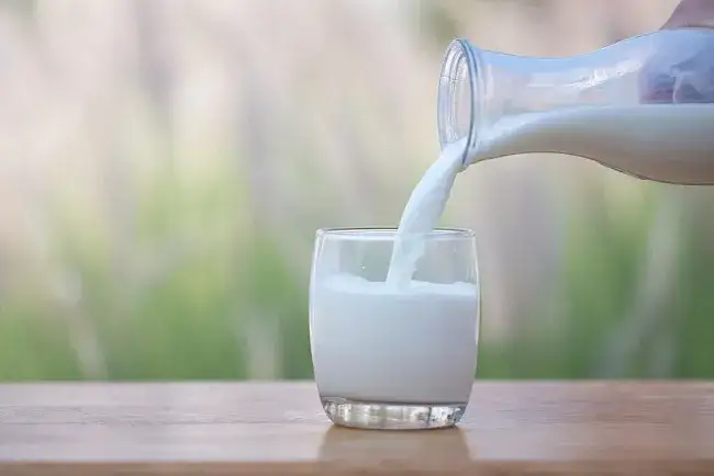 Zdjęcie Ile kcal ma mleko? Wartość kaloryczna różnych rodzajów mleka