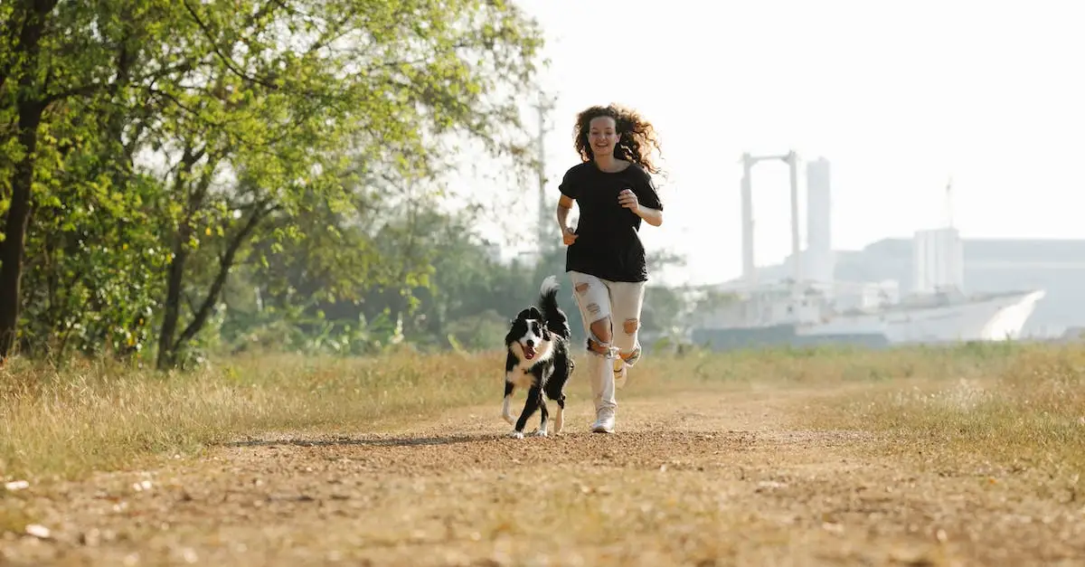 Fitness w parku - ćwiczenia na świeżym powietrzu