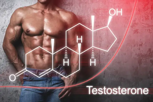 Testosteron na redukcję: Skuteczny sposób na spalanie tłuszczu bez utraty mięśni